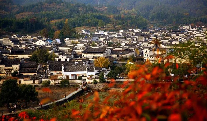 案例分析 | “世界最佳旅游乡村”靠什么吸引游客