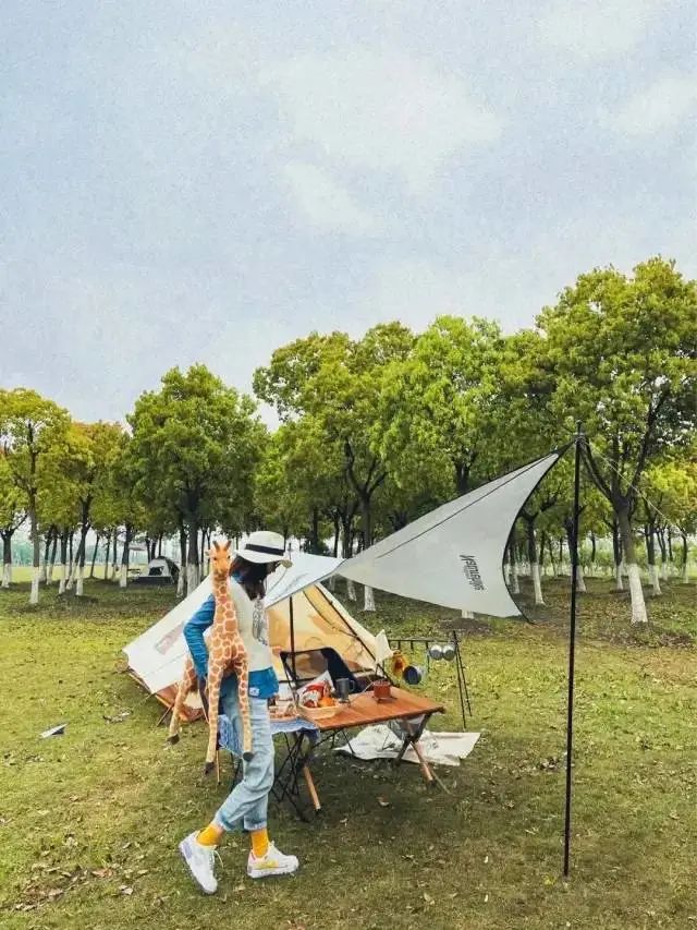 滬上露營(yíng) | 這里有一波能夠約到的營(yíng)地哦