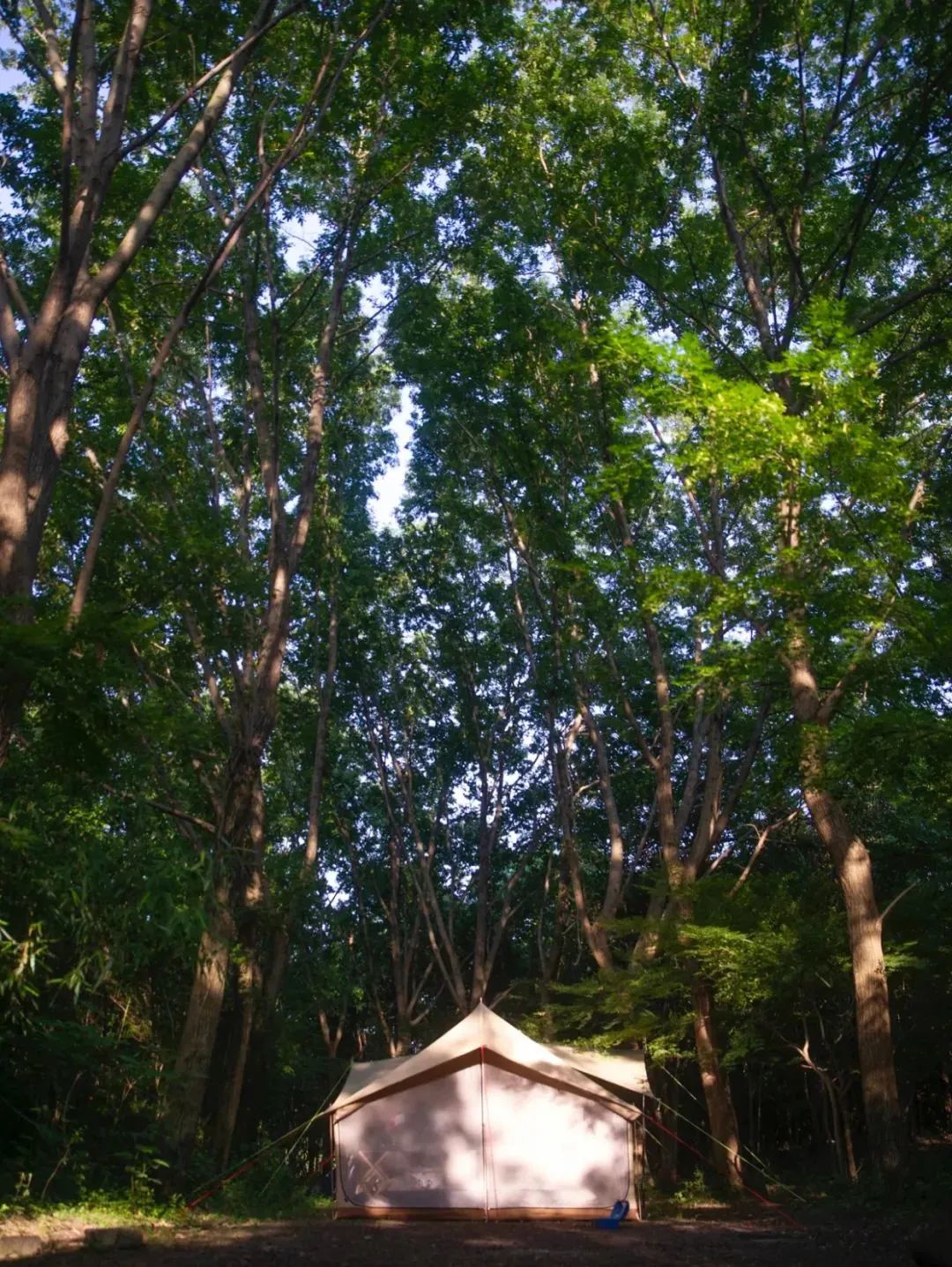 滬上露營(yíng) | 這里有一波能夠約到的營(yíng)地哦