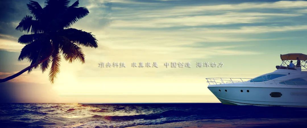 长风破浪时，TA们为你保驾护航！