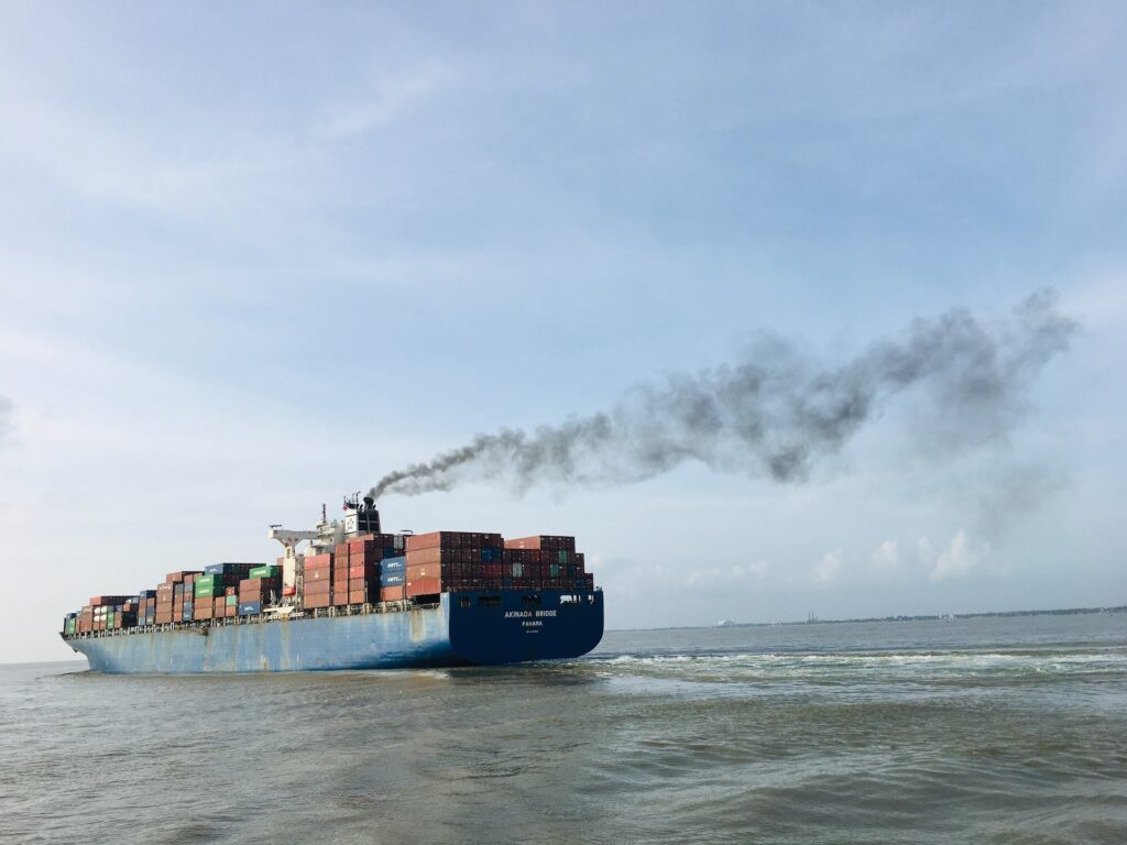 World’s largest container line adjusts routes to protect blue whales