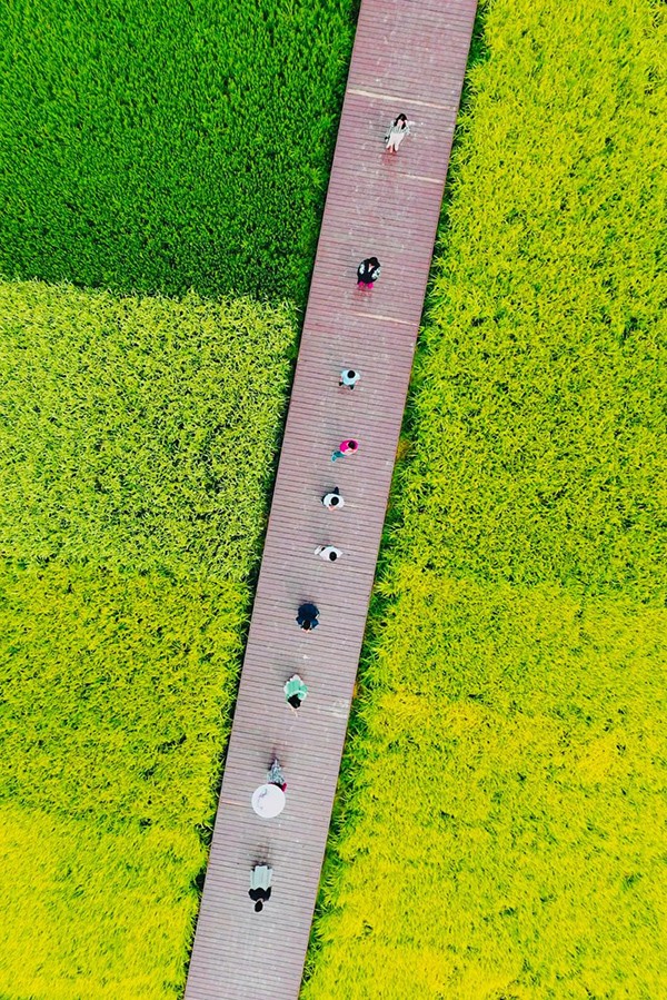 只能吸引外地游客？旅游目的地要主客共享呀！