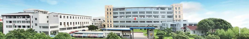 綠意不止綠茵場 電推助力 綠動(dòng)全球