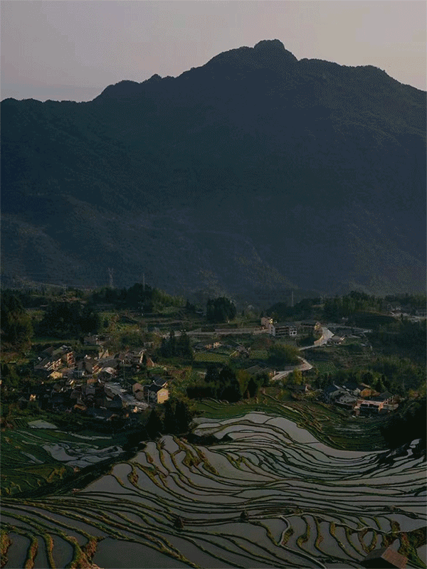 这家