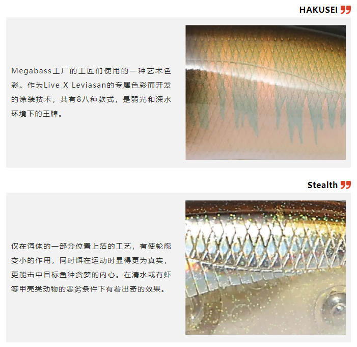 路亞何止中魚 路亞是藝術(shù)！