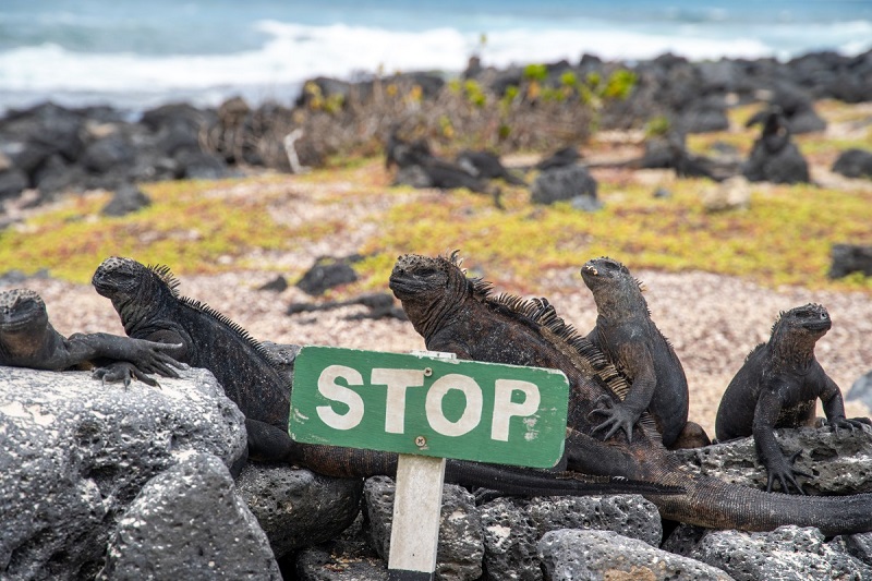 Yacht agents drive Galapagos entry permit change