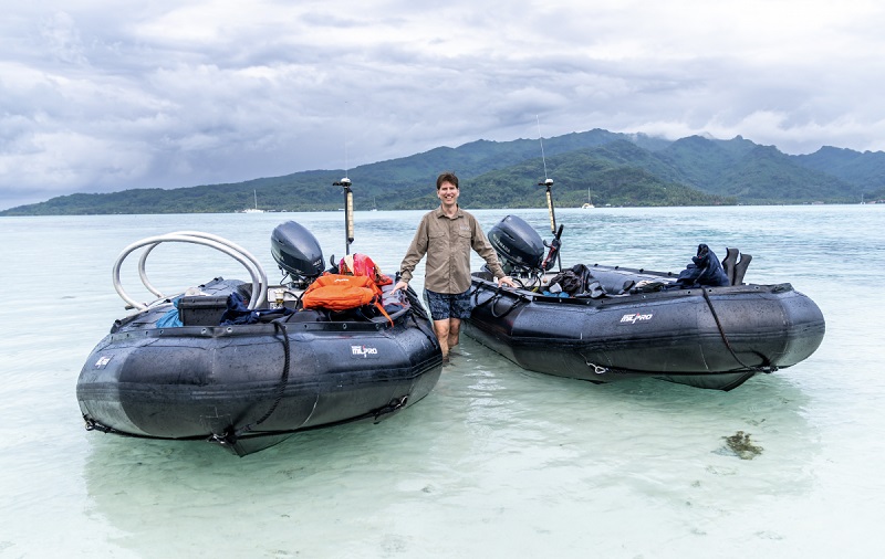 The rebirth of a true hybrid