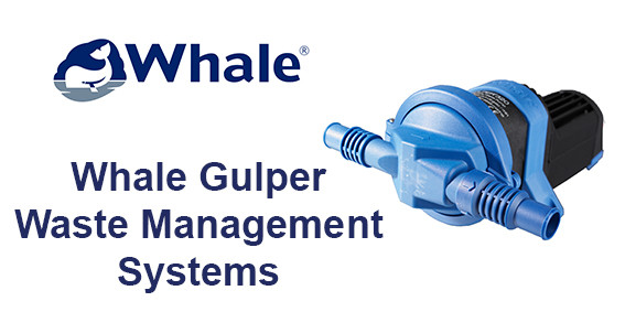 Whale Marine