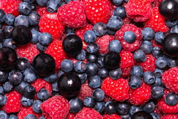 Rooted in Yunnan, the global vice president of Yikeberry said that China has huge potential for berry consumption