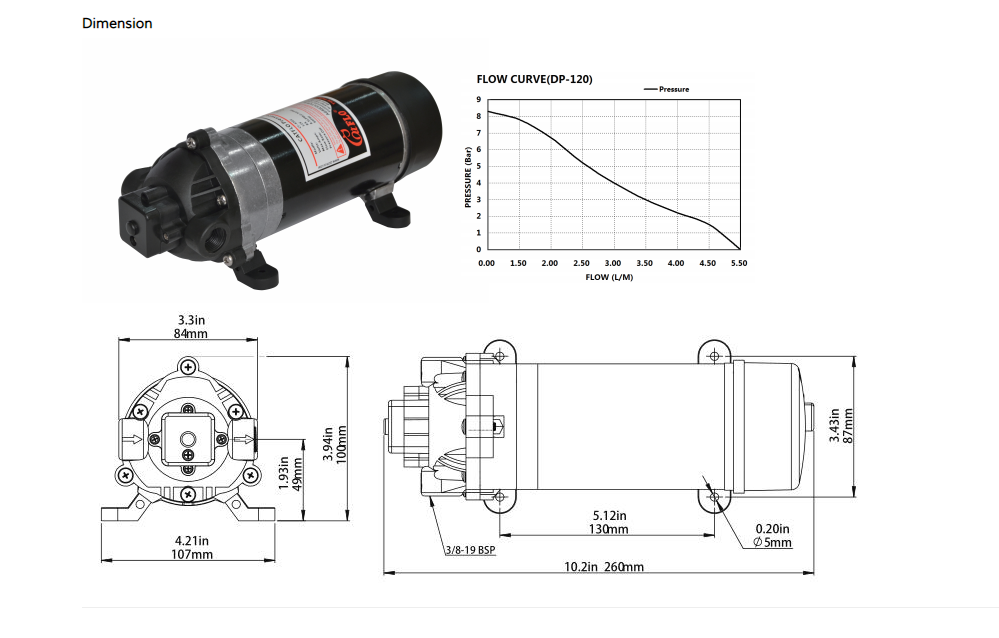 DP Series AC sprayer pump high pressure pump 220V