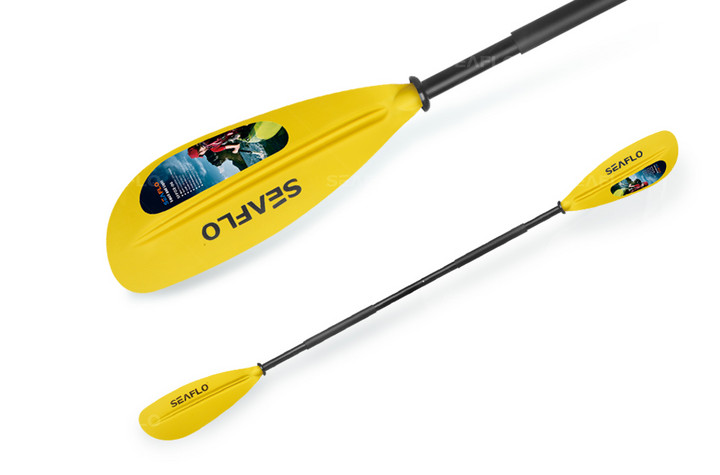 Sf-2003 double platform boat