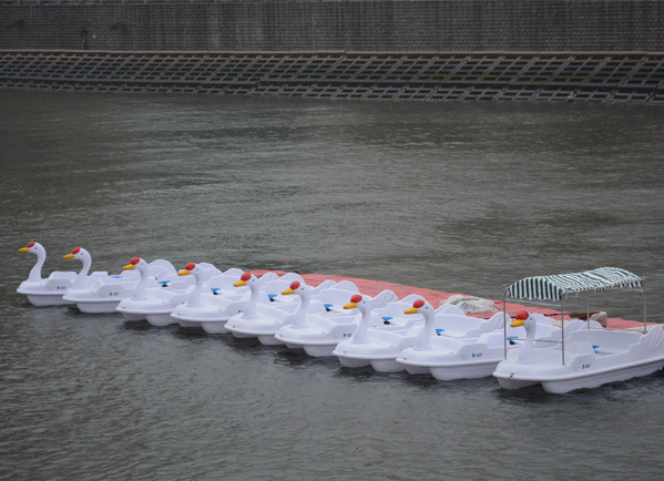 White Swan Electric Vessel