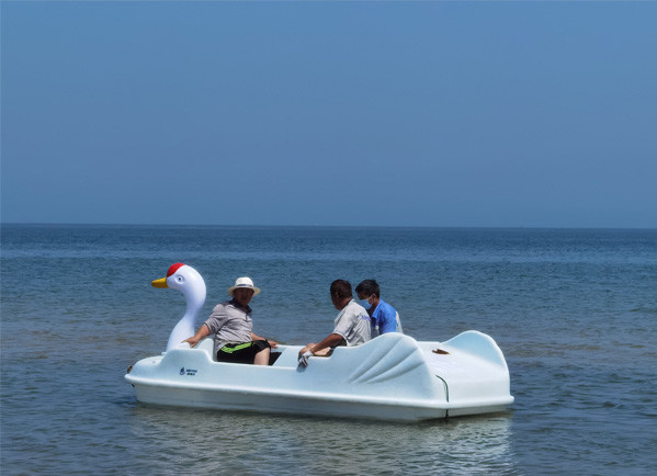 White Swan Electric Vessel
