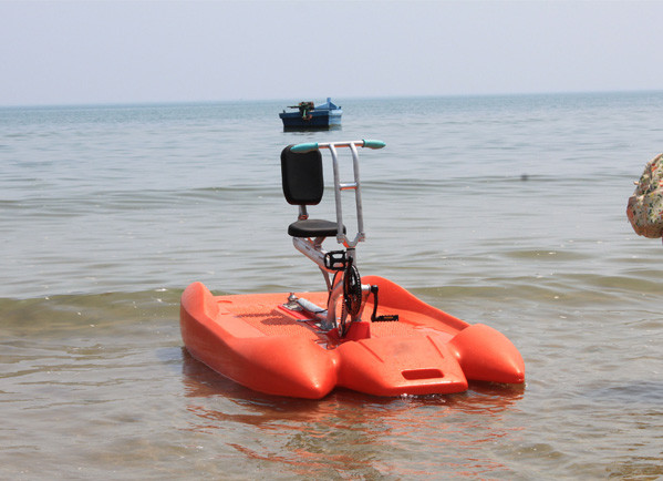 Single Dolphin Water Bike