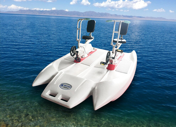 Dolphin water bike for two