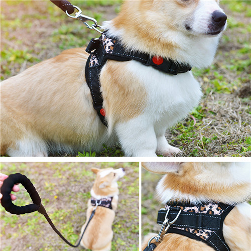 High Quality rope connector Swivel Dog leash Carabiner stainless steel Snap Hook