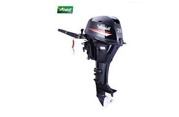 F20 outboard motor