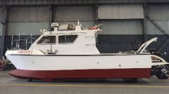 8-meter catamaran survey boat