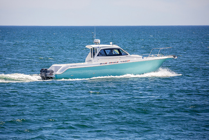 Blue whale WA360 boat