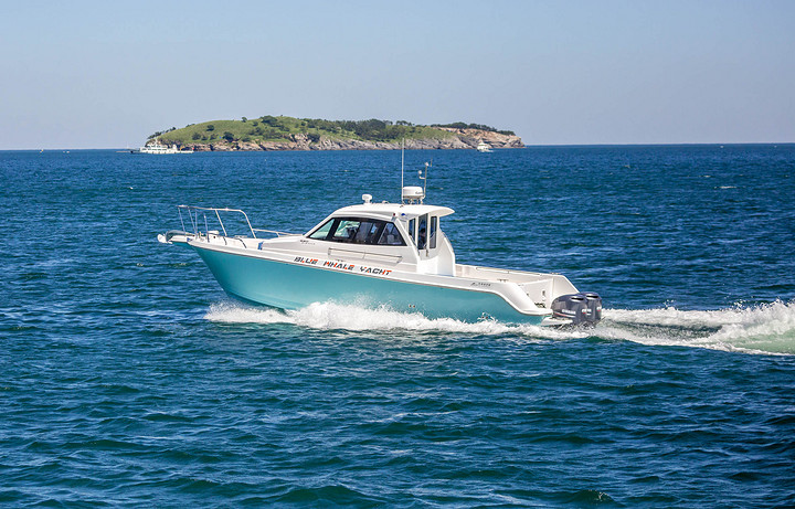 Blue whale WA360 boat