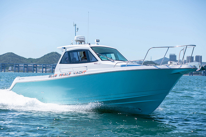 Blue whale WA360 boat