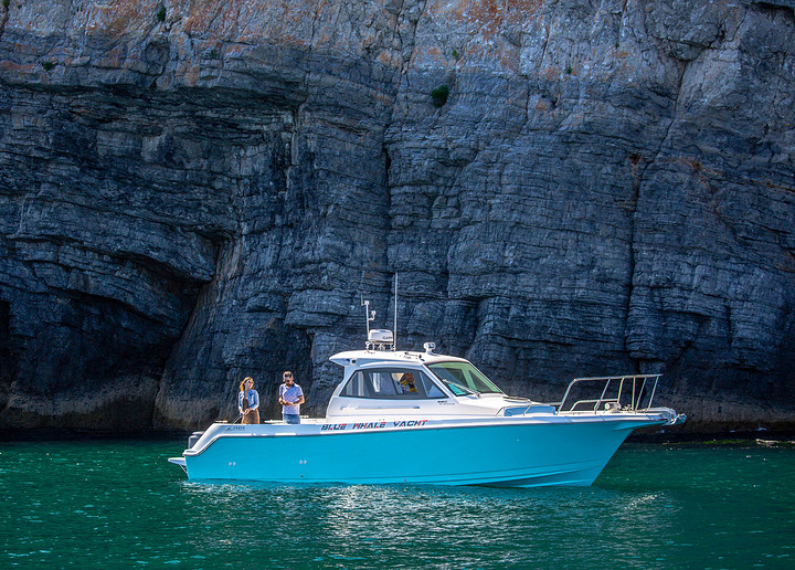 Blue whale WA360 boat