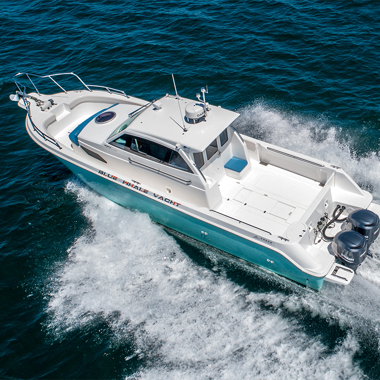 Blue whale WA360 boat