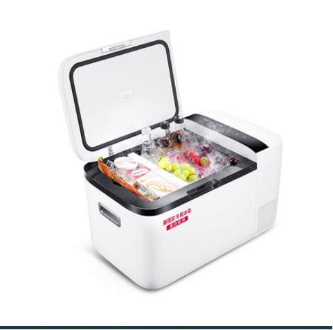 IndelB T20S car refrigerator