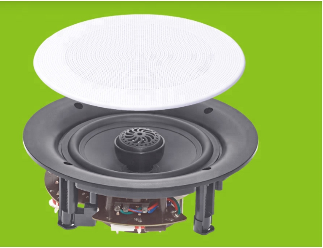 CEILING SPEAKER DBS165002/DBS166502/DBS168002/DBS161002