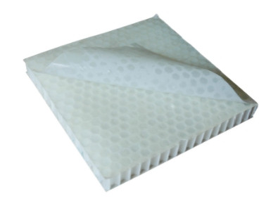 PP honeycomb