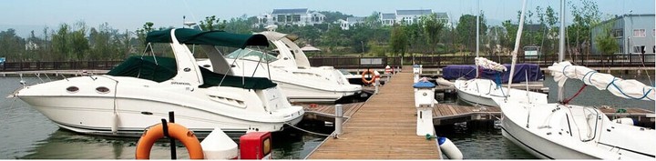 The International Yacht Club