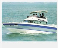 FRP Boats - SONATA 3100